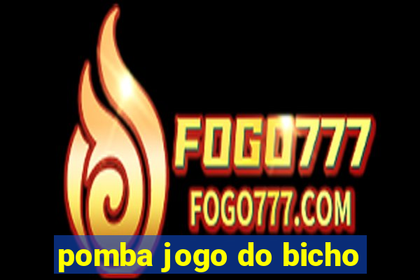 pomba jogo do bicho