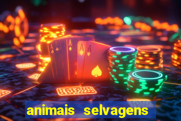 animais selvagens fotos e nomes