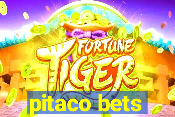 pitaco bets