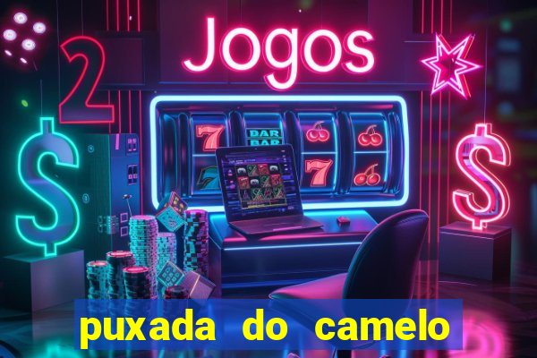 puxada do camelo jogo do bicho