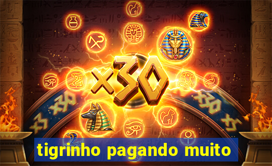 tigrinho pagando muito