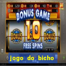 jogo do bicho online df