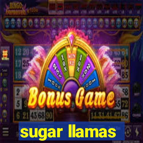 sugar llamas