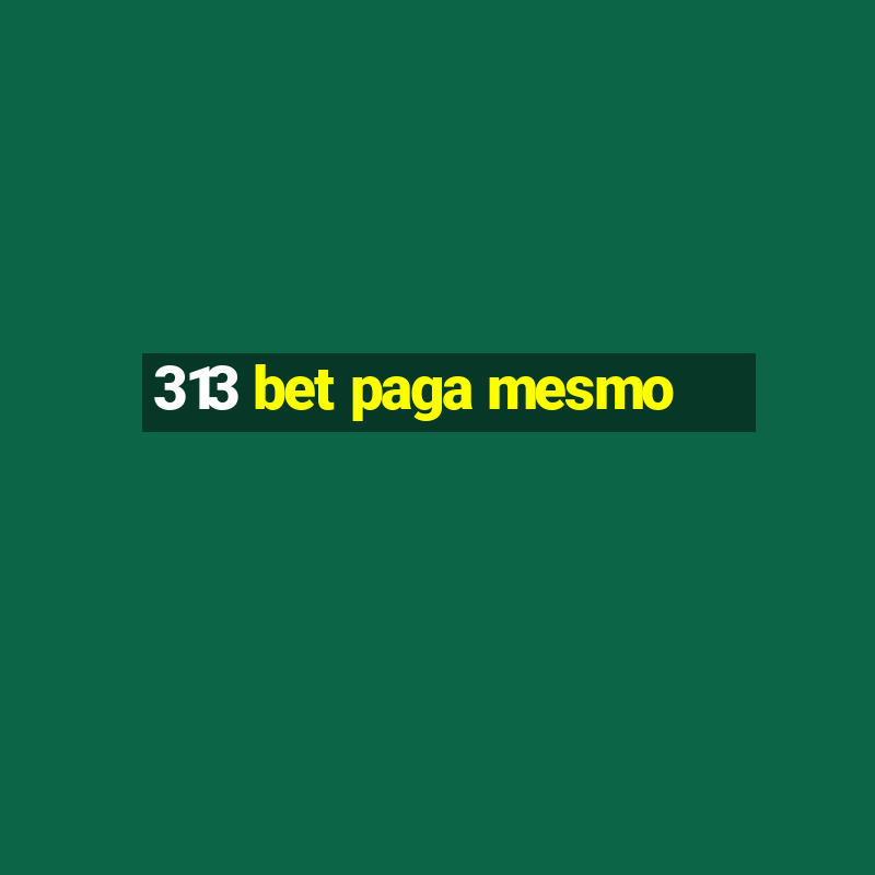 313 bet paga mesmo