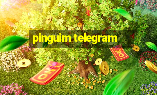 pinguim telegram