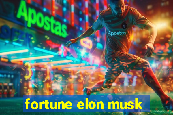 fortune elon musk