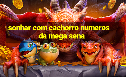 sonhar com cachorro numeros da mega sena