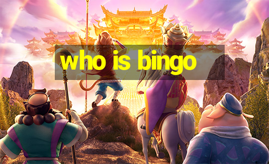 who is bingo