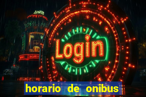 horario de onibus celeste viplan