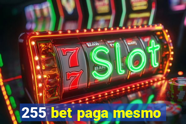 255 bet paga mesmo