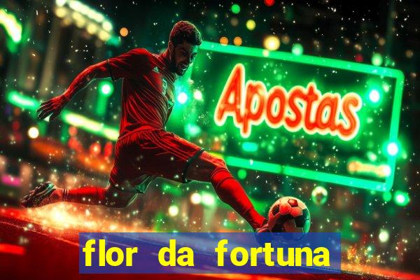 flor da fortuna como cuidar