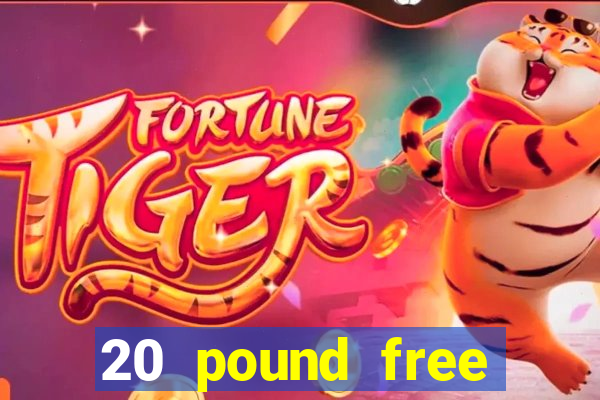 20 pound free bingo no deposit