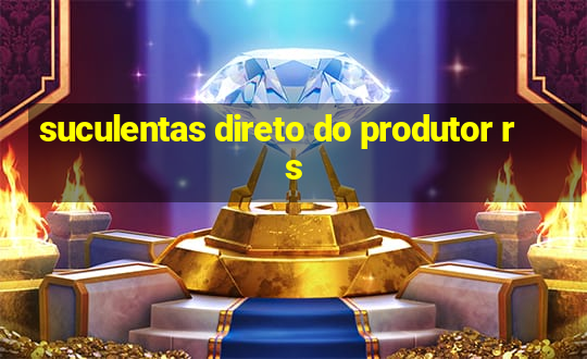 suculentas direto do produtor rs