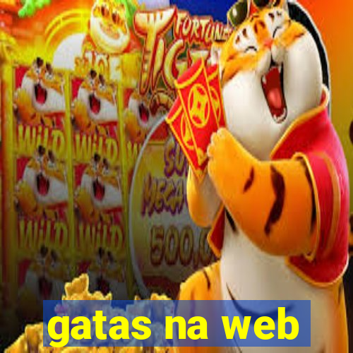 gatas na web