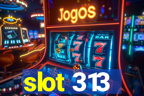 slot 313