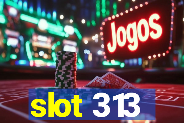 slot 313