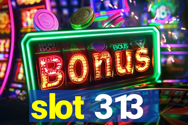 slot 313