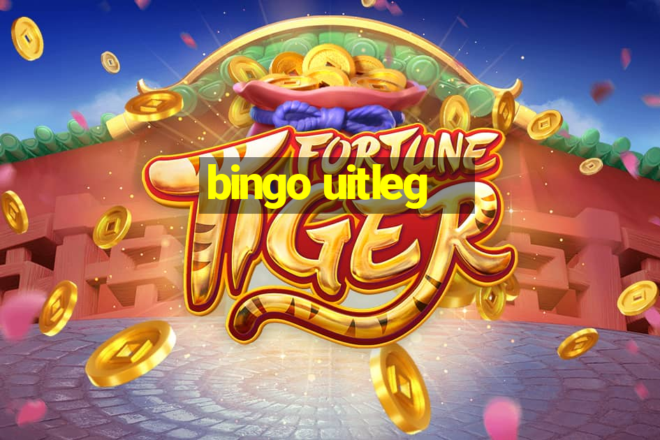 bingo uitleg