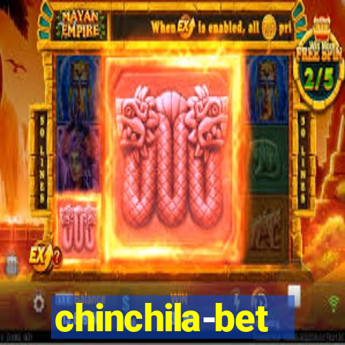 chinchila-bet