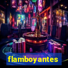 flamboyantes