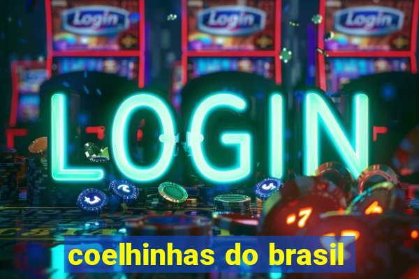 coelhinhas do brasil