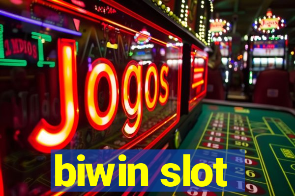 biwin slot