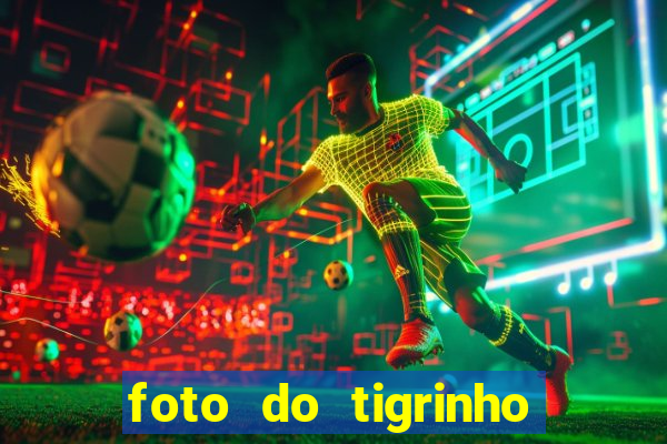 foto do tigrinho do jogo