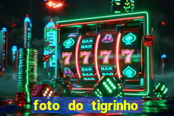 foto do tigrinho do jogo