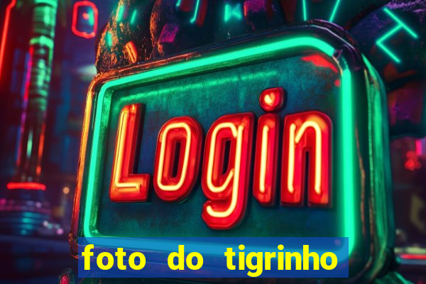 foto do tigrinho do jogo