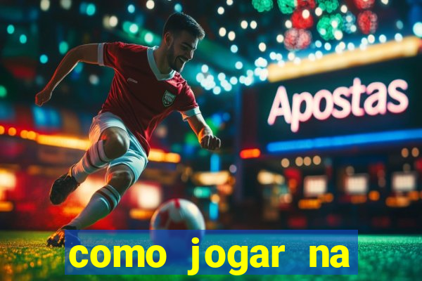 como jogar na teimosinha da lotofacil