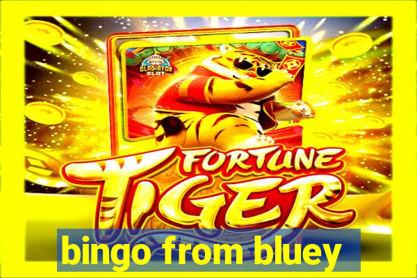 bingo from bluey