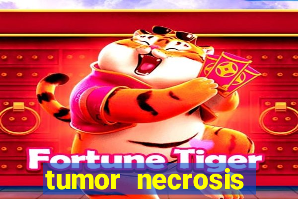 tumor necrosis factor beta