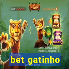 bet gatinho