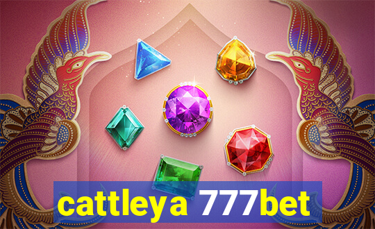 cattleya 777bet