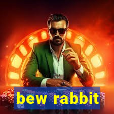 bew rabbit