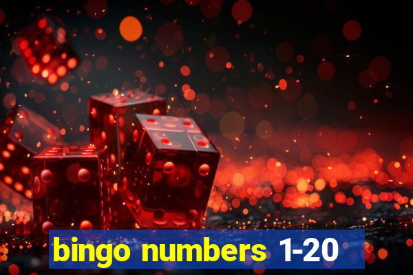 bingo numbers 1-20