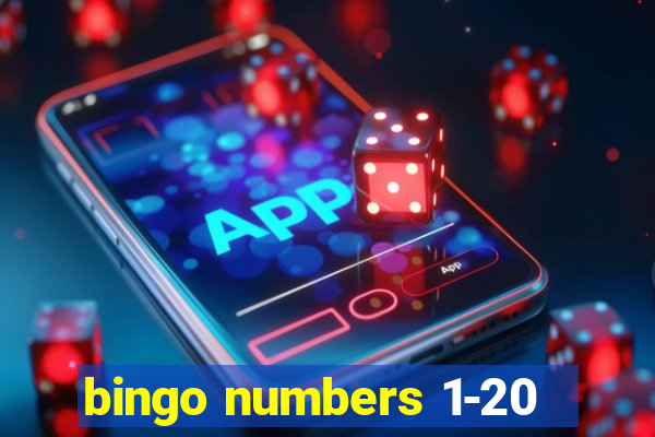 bingo numbers 1-20