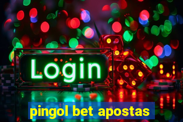 pingol bet apostas