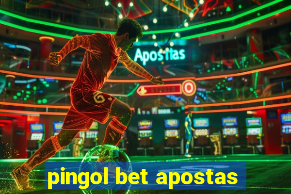 pingol bet apostas