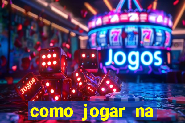 como jogar na lotinha do jogo do bicho