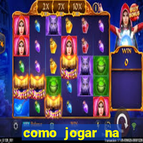 como jogar na lotinha do jogo do bicho