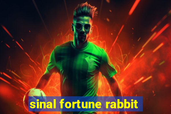 sinal fortune rabbit