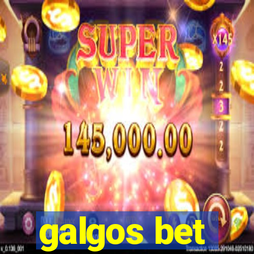 galgos bet