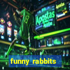 funny rabbits