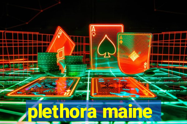 plethora maine