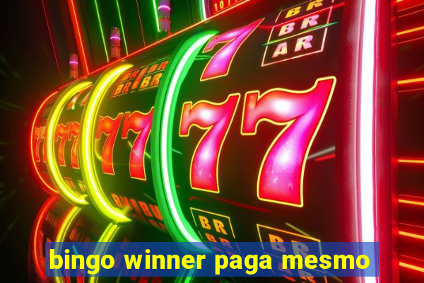 bingo winner paga mesmo