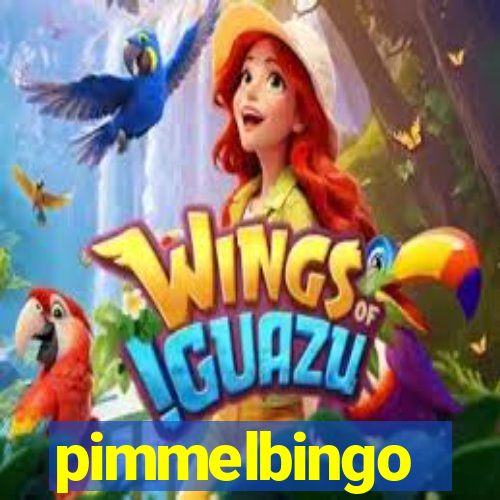 pimmelbingo