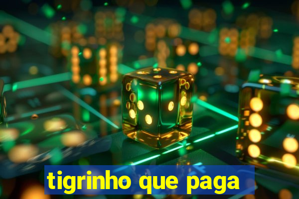 tigrinho que paga