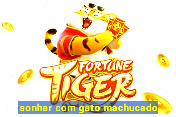 sonhar com gato machucado