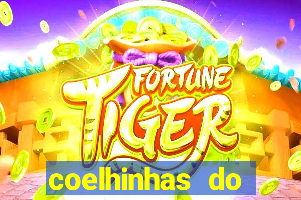 coelhinhas do brasil site